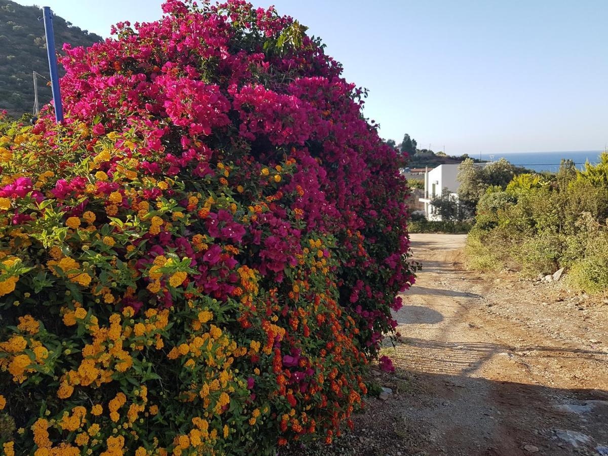 Sea Flower Villa Bali Crete Vlikhádha Exterior foto